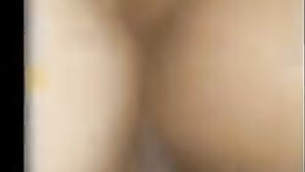 M7arm arab 8