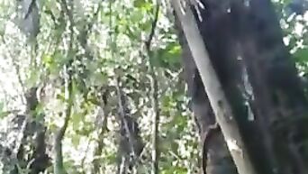 Free jungle Porn Videos and Sex Movies
